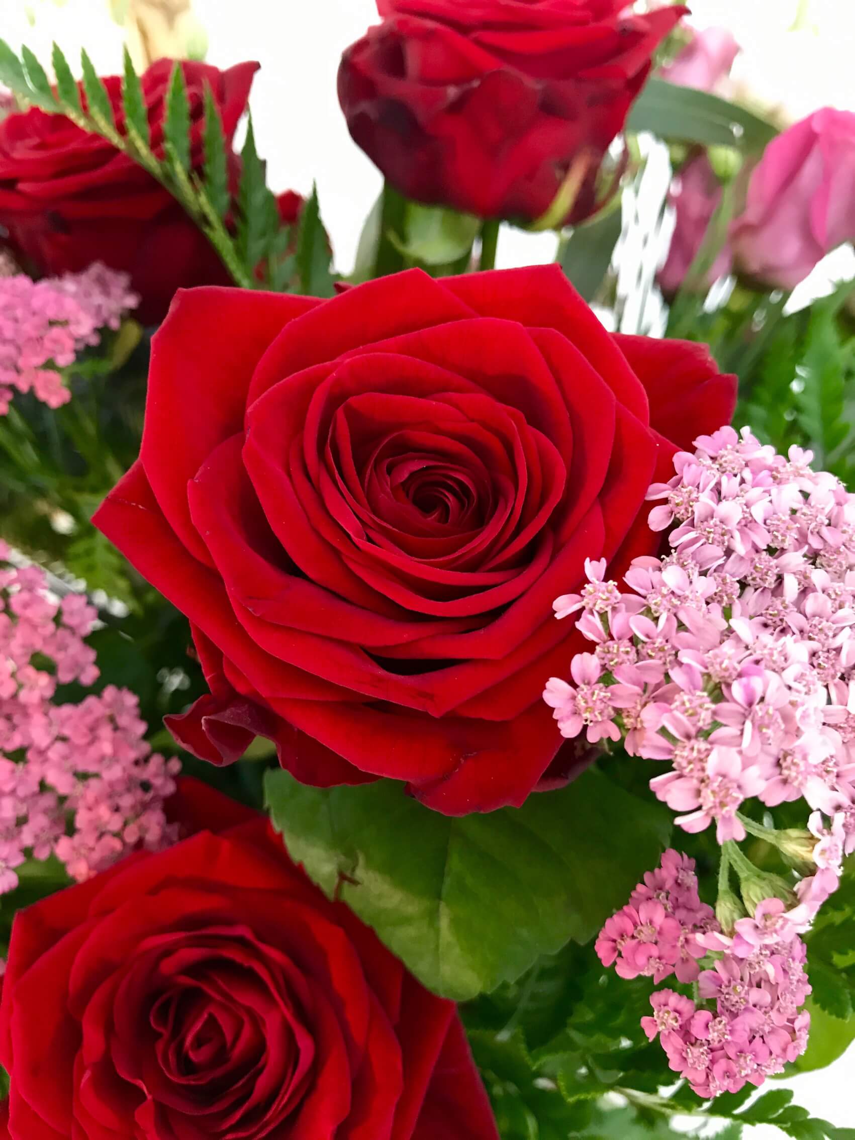 Valentine's Day Flowers Delivery in Kilkenny