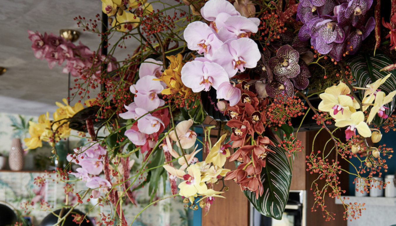 Amazing selection of Orchids available now